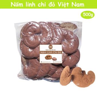 Nấm linh chi đỏ Việt Nam 500g (Xích chi vị đắng nhẹ) - Cây Nấm Việt