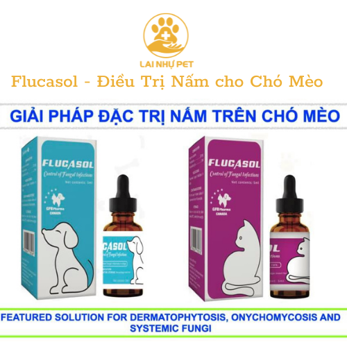 Sản phẩm flucasol nấm cho chó mèo 5ml - lai nhự pet