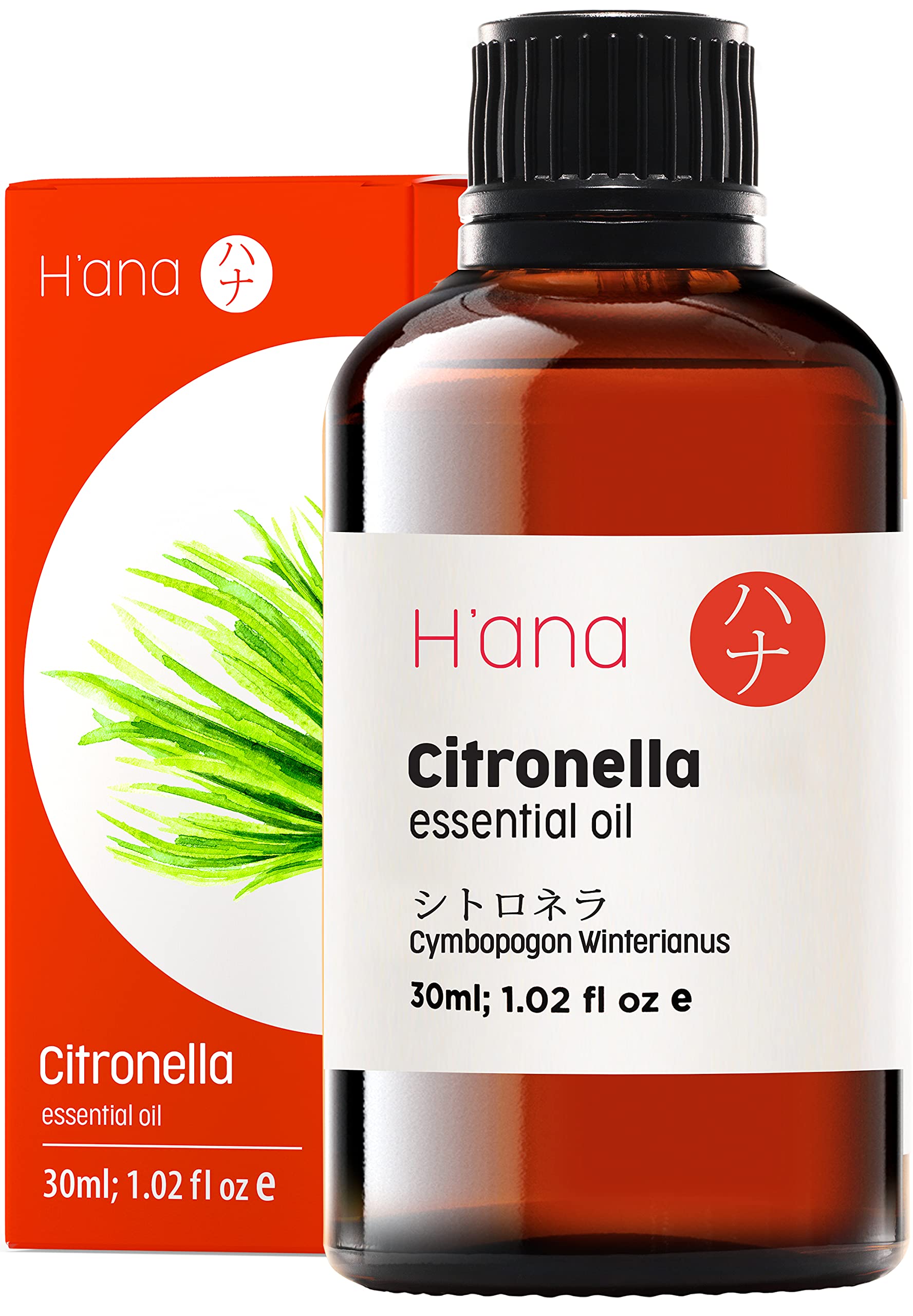 シトロネラ 30ml ナウフーズ Now citronella - エッセンシャルオイル