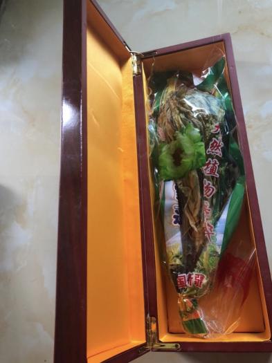 Thiên Sơn Tuyết Liên Hoa (Hoa Sen Tuyết)