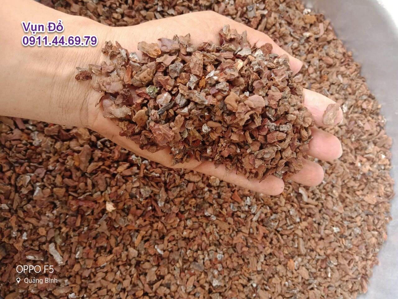 Vỏ thông đã qua xử lí, kích thước hạt đỗ túi 1000ml
