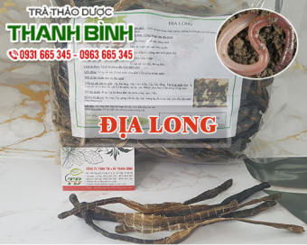 Địa Long ( Giun Đất ) 100g Khô Loại 1 - Thảo Dược Thanh Bình
