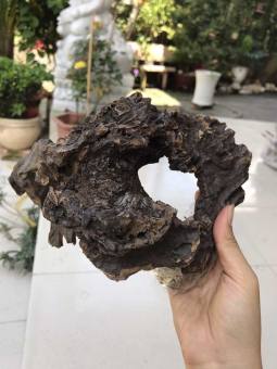 GỖ LŨA NGHỆ THUẬT MS584