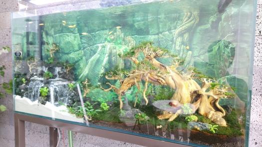 Hồ cá thủy sinh có thác cát