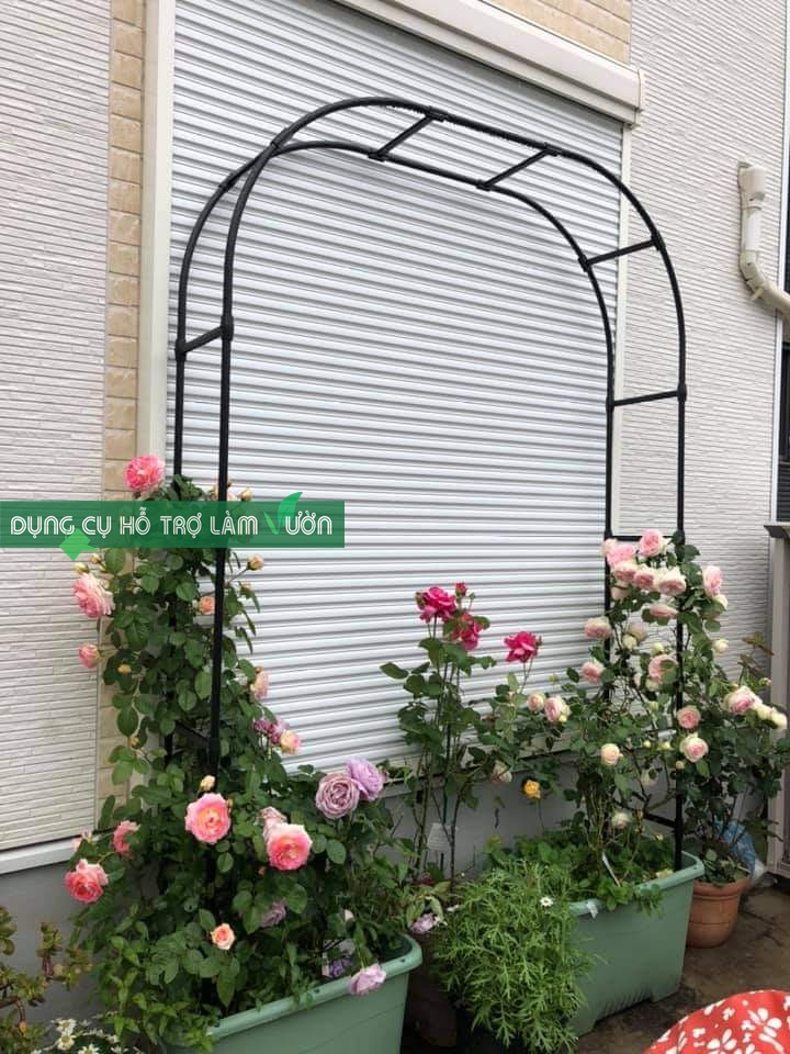 Khung vòm cổng cho hoa hồng leo cao 210cm chiều sâu 31cm màu đen, dùng từ 5 năm ở nhiệt độ ngoài trời nắng nóng của Nhật
