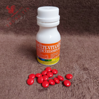Lọ 100 viên (Thuốc bổ gà đá . nuôi gà cao cấp Philippines) Multi – Vitamin With Vitamin B12