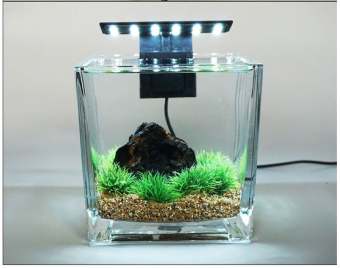 Đèn led kẹp X3 siêu sáng thủy sinh cho bể cá mini (12 led)