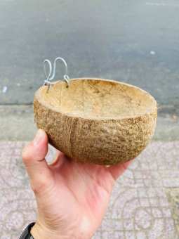 GÁO DỪA KHÔ CHO GÀ ĂN, UỐNG NƯỚC