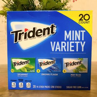 Kẹo Singum TRIDENT 14 Miếng / thanh