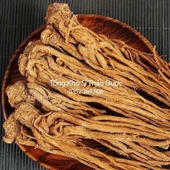 Sâm Đương Quy 1kg (Củ Đương Quy)