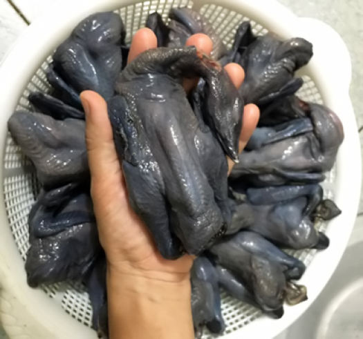 SỈ THÙNG GÀ ÁC 10 CON 60K/CON