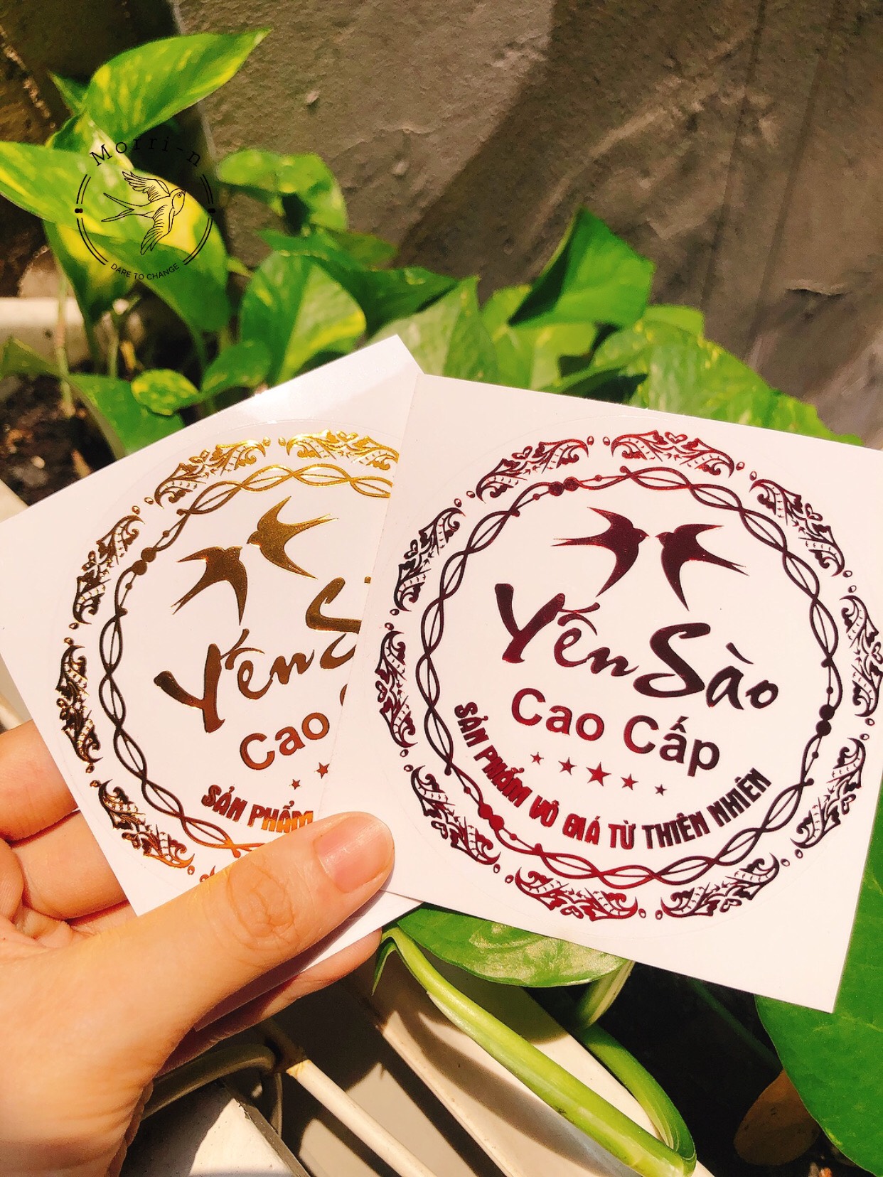 10 tem dán hộp ép kim yến sào cao cấp 8.5cm