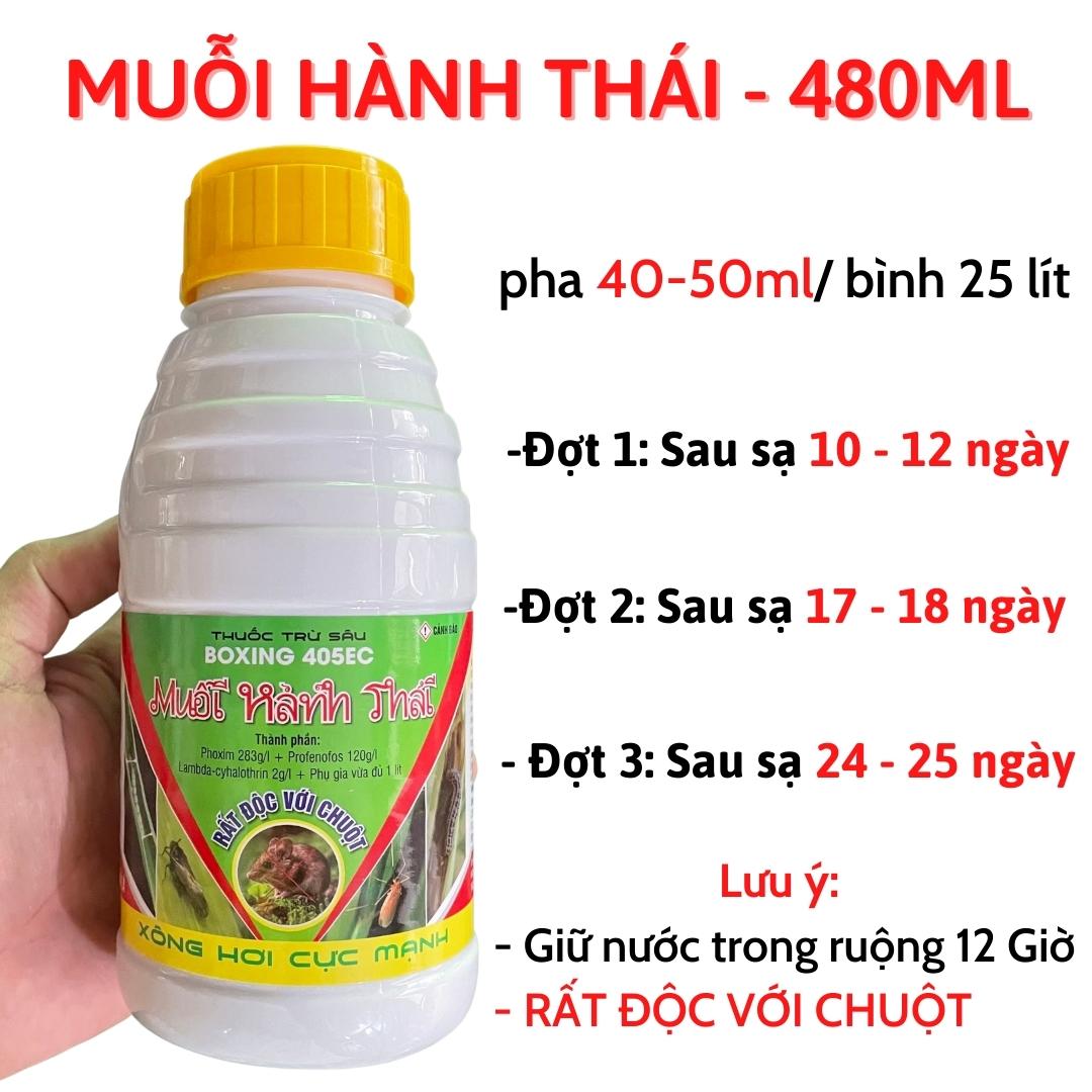 Muỗi hành thái 480ml - Rất độc với chuột - Xông hơi cực mạnh - muỗi hành - sâu đục thân - ngừa cuốn lá