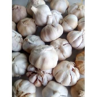 1 kg tỏi sấy đắk lắk LD