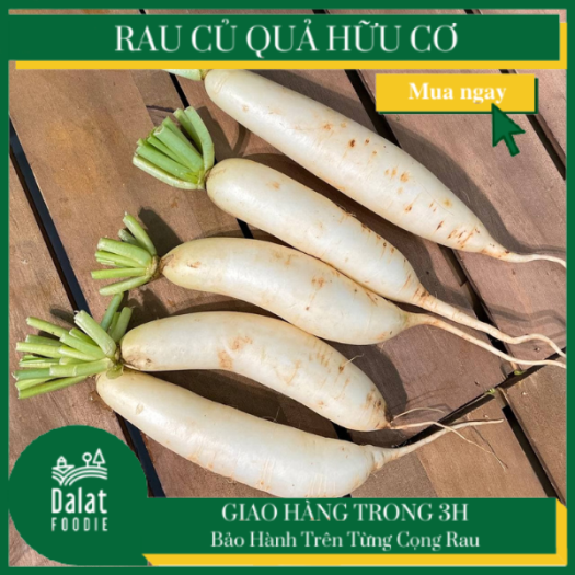 Củ Cải Trắng 300G - [Giao hàng ngay tại TPHCM]