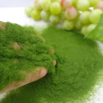 AKAMA 35g / túi Sân vườn Vật liệu xây dựng mô hình Thủ công Trang trí tiểu cảnh Rêu nhân tạo Phụ kiện DIY Bột cỏ nhân tạo