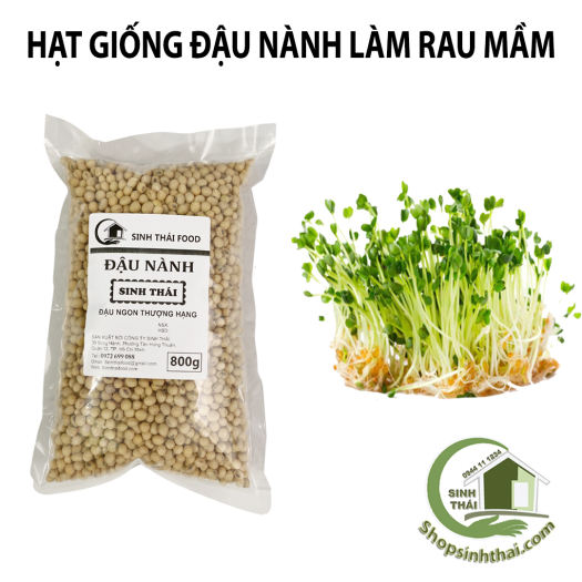 Đậu Nành ( Đỗ Tương ) Làm Rau Mầm, Bịch 800g