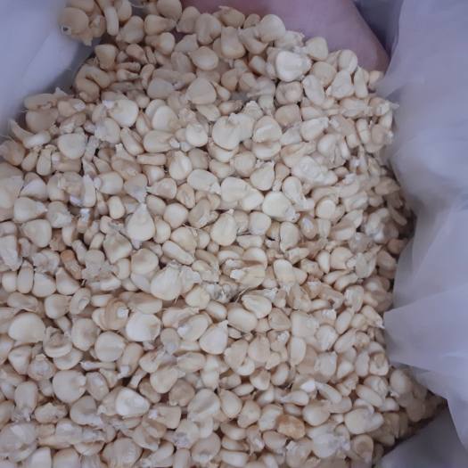 Bắp Hạt (Ngô Hạt) Khô- Làm xôi bắp, bắp hầm - Nhà trồng