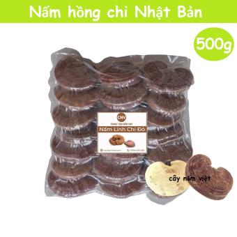 Nấm linh chi đỏ Hồng Chi Nhật Bản loại thường 500g (trồng tại Việt Nam) - Cây Nấm Việt