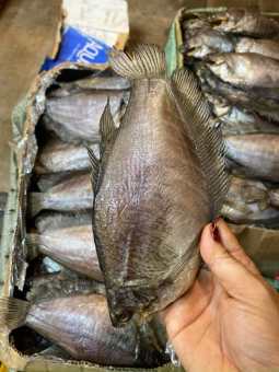 1kg khô cá sặc ( khô sặc rằn)cá sặc 3 nắng hàng đi xa, khô vừa ăn không mặn, cá tươi ngon chất lượng, hút chân không đóng kỹ càng ( khô sặc bổi, khô lò tho)Khô Thoại Sơn