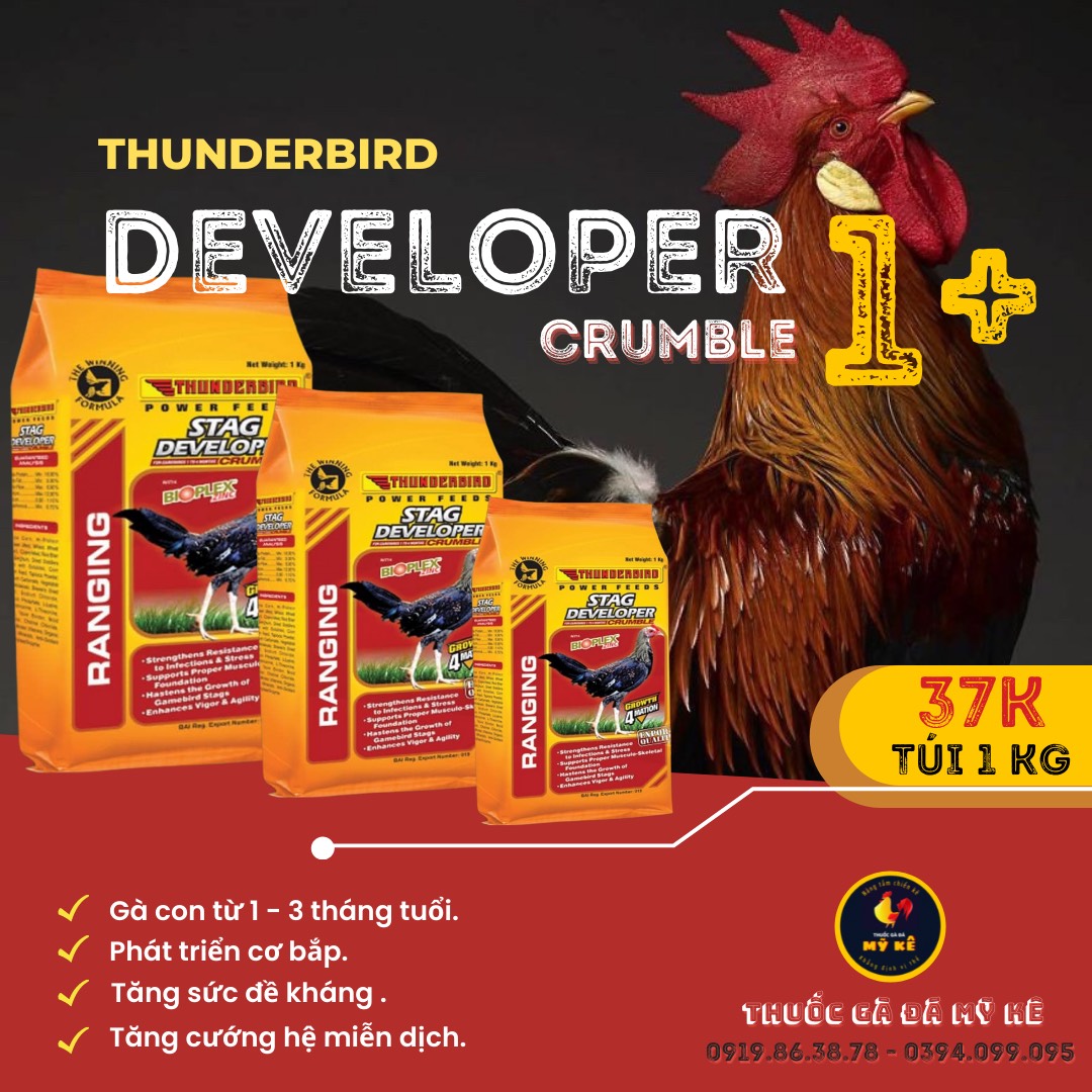 Thức ăn gà con từ 1 tháng tuổi Thunderbird 1+, túi 1 kg