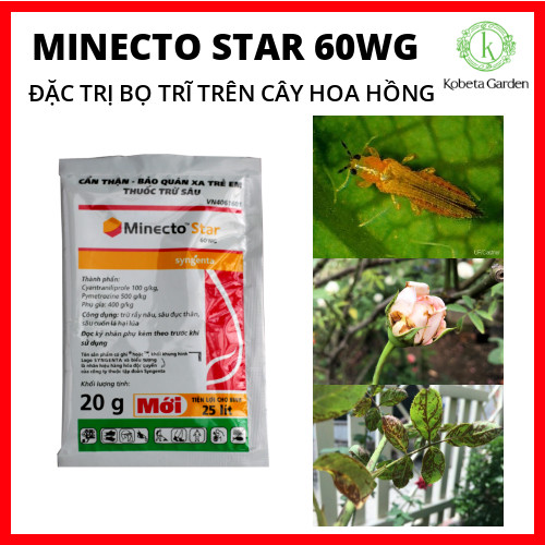Đặc trị bọ trĩ minecto star
