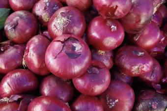 Combo#1: 1kg hành ấn độ loại 1 + 1kg tỏi hồng bắc loại 1 ( tỏi bắc, tỏi tím, hành lý sơn, hành phan rang, tỏi đà lạt)