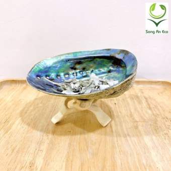 Đĩa ốc xà cừ/Vỏ sò/ Vỏ bào ngư - Chân gỗ xoài thủ công dùng xông đốt xô thơm - Palo santo - Nhựa cây