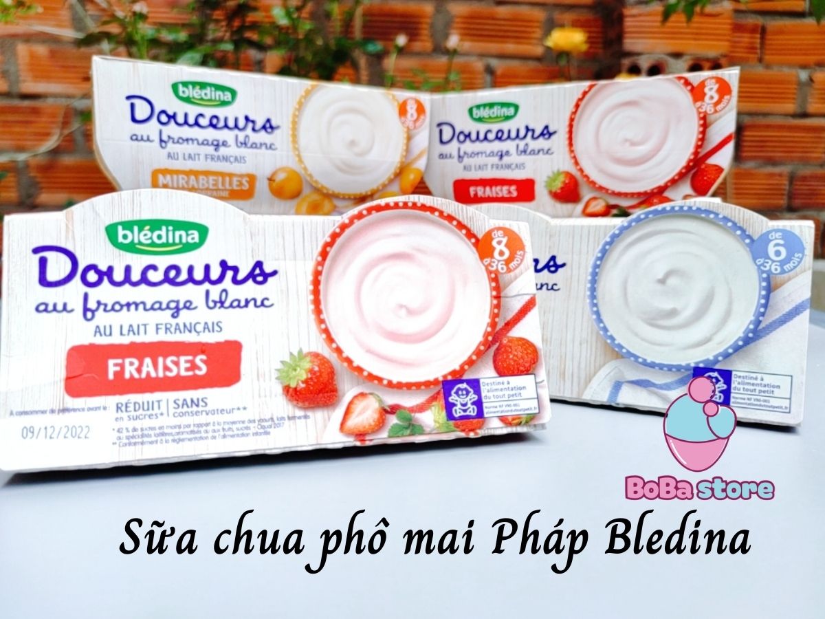 Sữa chua phô mai cho bé Bledina Doceurs Pháp đủ vị
