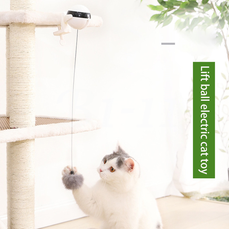 electronic motion cat toy