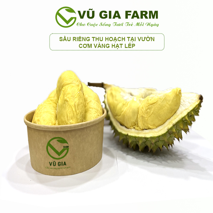 VG FARM Sầu Riêng Tách Vỏ Đạ Huoai Lâm Đồng - Trái già hái trực tiếp tại vườn không lo hoá chất - Cơm vàng, hạt lép bao ăn