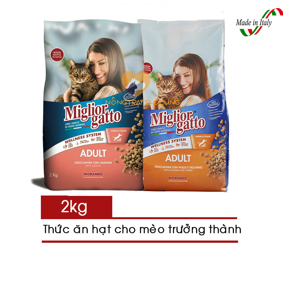 Thức ăn hạt cho mèo trưởng thành miglior gatto adult 2kg vị cá hồi/ thịt gà -