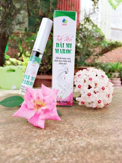 Tinh dầu dài mi Maroc dưỡng mi dài, dày đậm cho đôi mắt thêm long lanh, thu hút