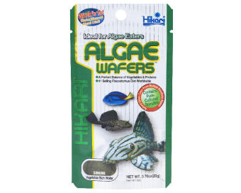 Algae wafers Thức ăn cho cá Pleco hiệu Hikari Nhật Bản