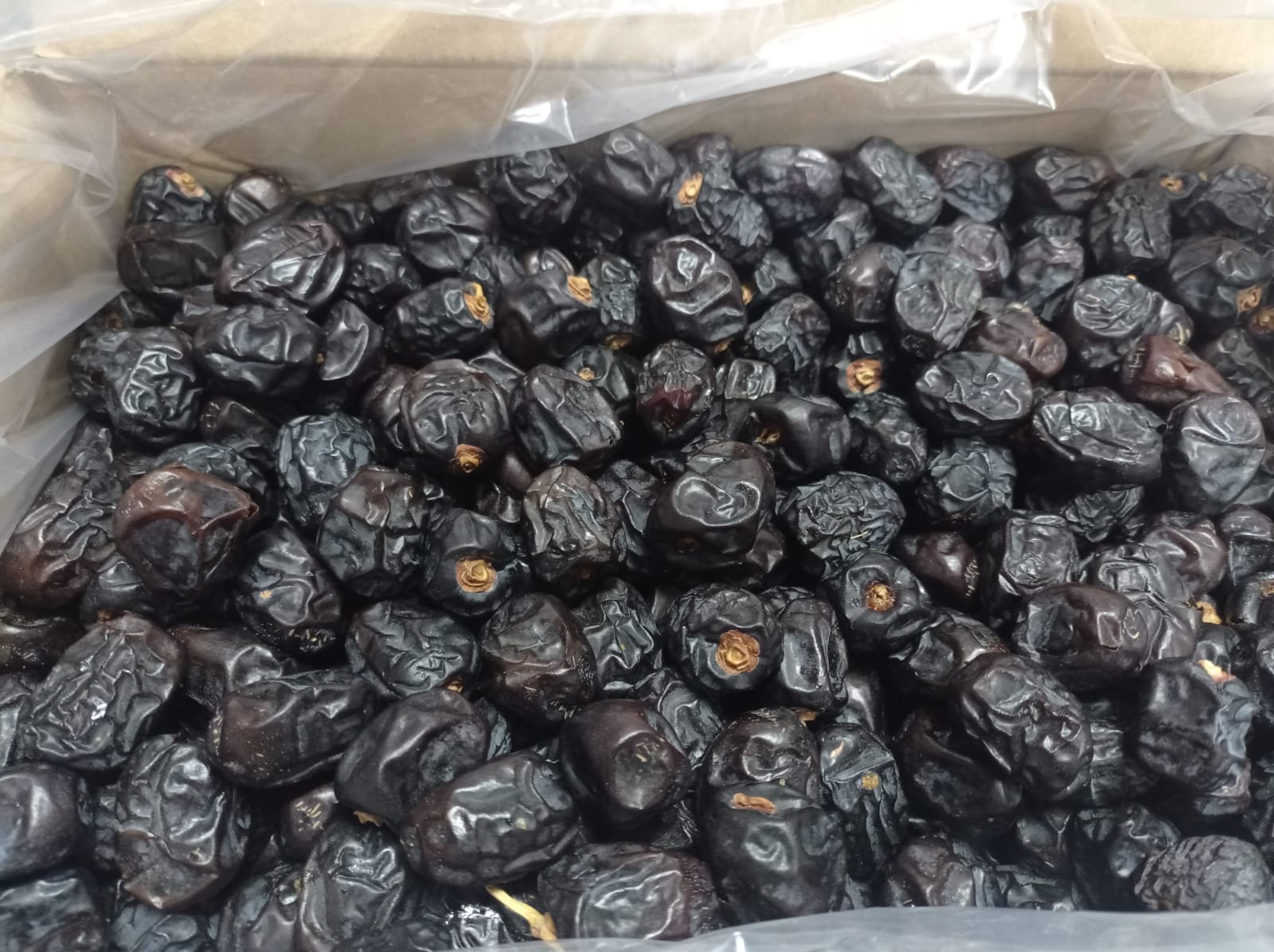 Kurma Ajwa Asli 5kg, Buah Kurma Premium Madinah Oleh Oleh Haji Umroh
