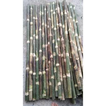 Cây tre tầm vong làm đồ dùng, che chóng giàn, trại liều chắc chắn