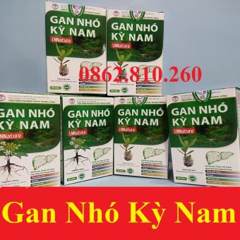 gan nhó kỳ nam - date mới 2026