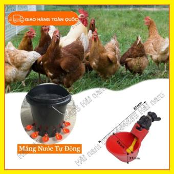 COMBO 6 MÁNG UỐNG NƯỚC TỰ ĐỘNG MÀU ĐỎ CHO GÀ-NÚM UỐNG NƯỚC CHO GÀ