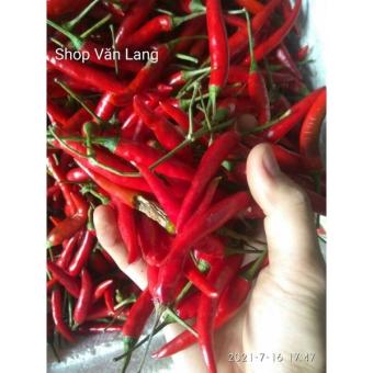 300g Ớt tươi, ớt đỏ quê, quả ớt chín tươi cay thơm ngon