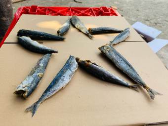 cá nục 1 nắng,cá nục rim mặn ngọt,đặc sản Châu Đốc, đóng gói hút chân không, giàu dinh dưỡng - Phân phối bởi Vua Ẩm Thực