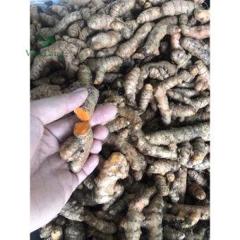 Nghệ vàng tươi củ già chất lượng túi 500g