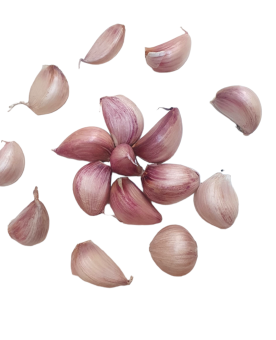 1000 g Tỏi Tím To tép khô chắc Loại 1, chuẩn vị tỏi quê Lý Sơn, cay nồng thơm ngon