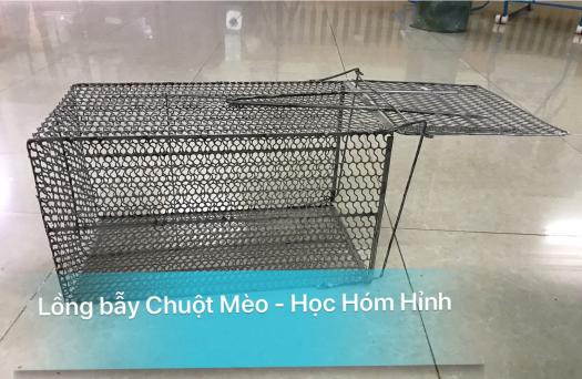 Lồng bẫy Chuột Cống, bẫy Mèo