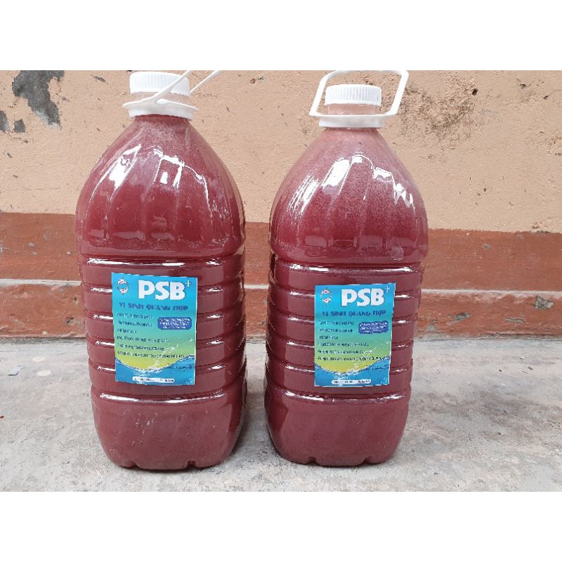 Vi sinh bể cá men vi sinh psb+