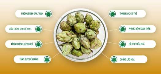 Hộp ống uống Atisô 10ml x 10 ống (Ghi - Đỏ)|Siêu thị trực tuyến 247