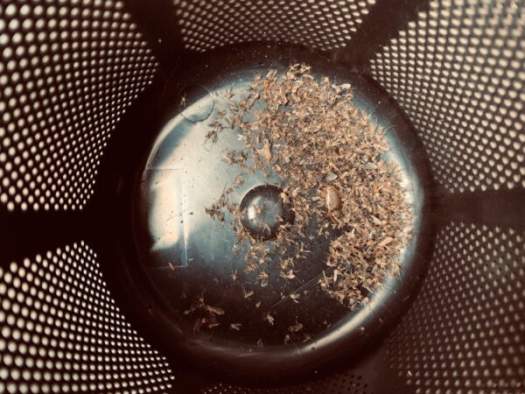 Đèn Bắt Muỗi MosClean Hàn Quốc, Máy Bắt Muỗi Và Côn Trùng Cực Hiệu Quả