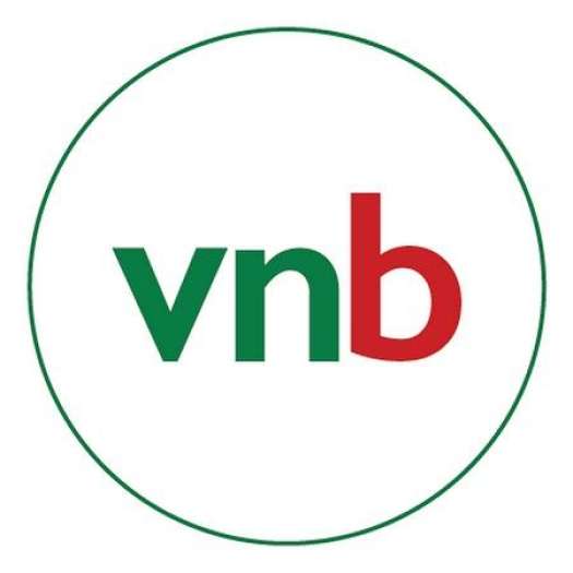 Các Kỳ Thi Toán VMO - Lời Giải Và Bình Luận