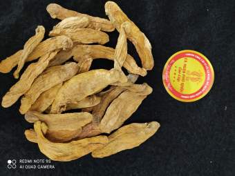 trái mỏ quạ 1 lạng 100k