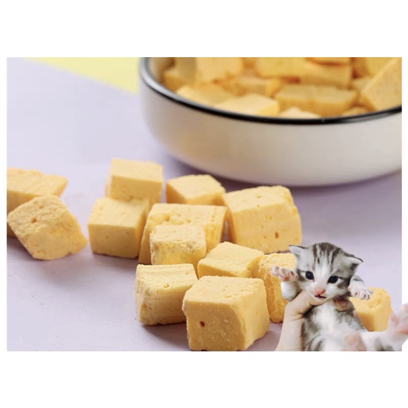 Phô mai sấy lạnh cheese sấy lạnh phô mai cho hamster sóc