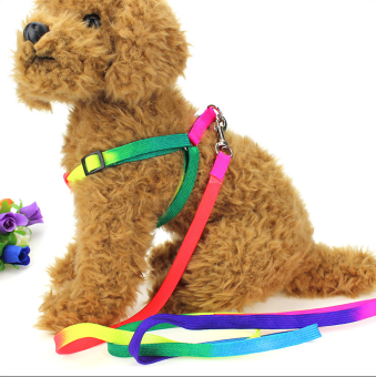 DÂY DẮT CHÓ MÈO ĐI DẠO KÈM YẾM ĐỦ MÀU SẮC GIÁ RẺ